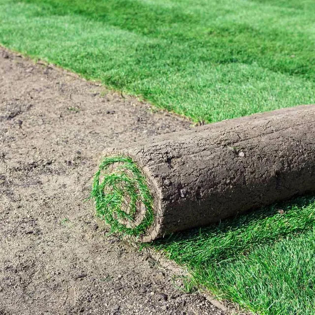 Outdoor Turf Rolls